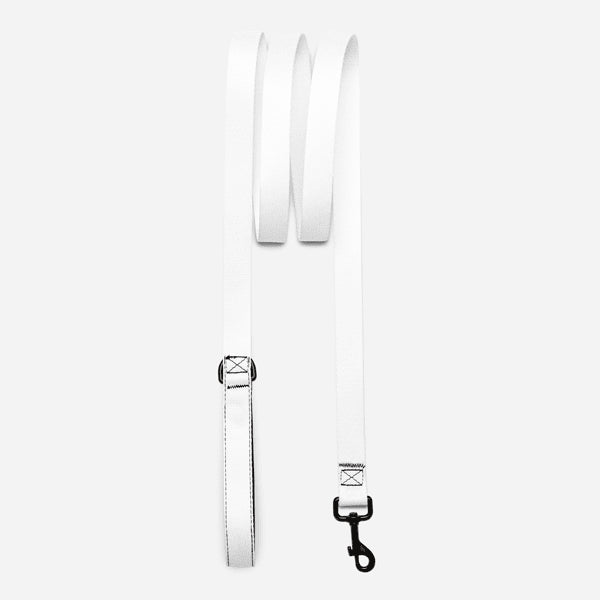 Custom pet leash · blank