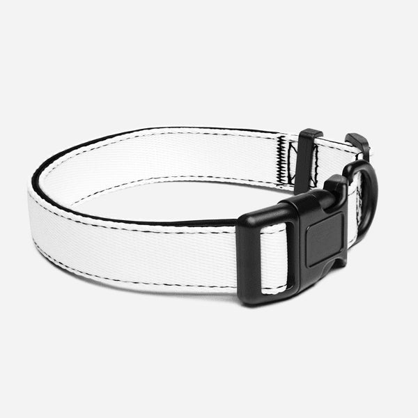 Custom pet collar · blank