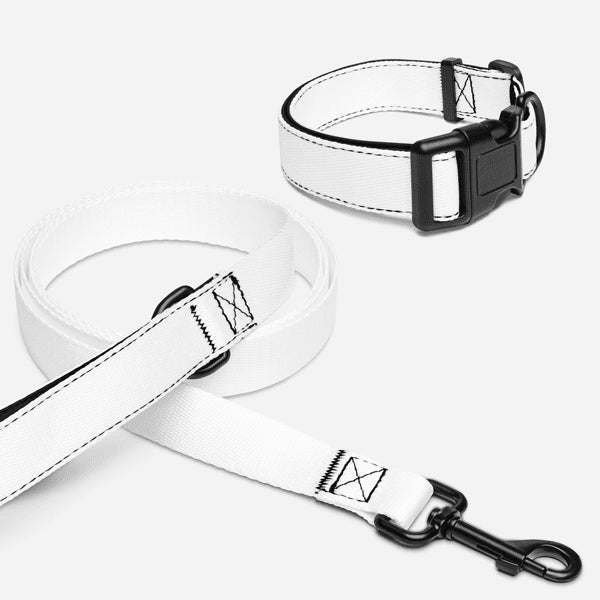 Pet collar and leash set · blank