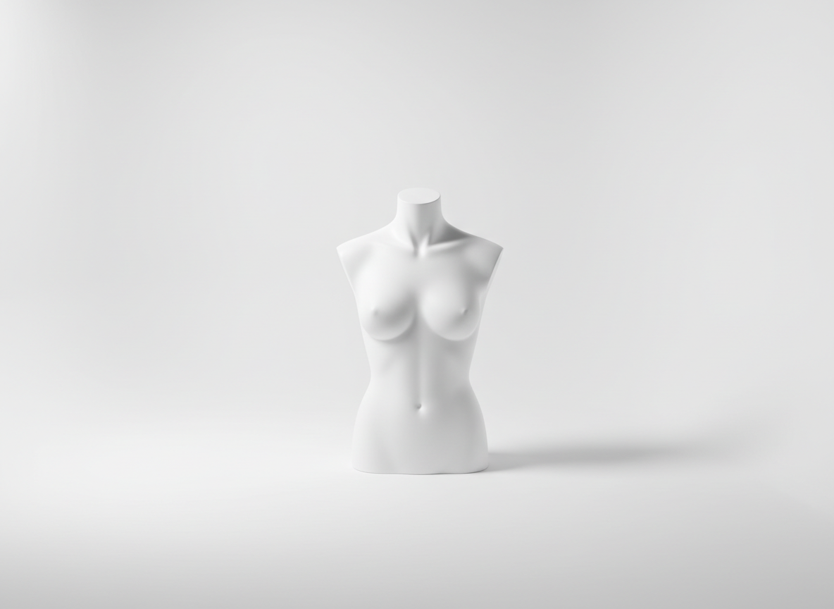 Mannequin busts and garment forms · blank