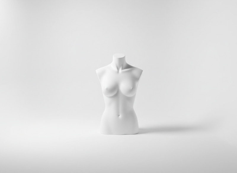 Mannequin busts and garment forms · blank