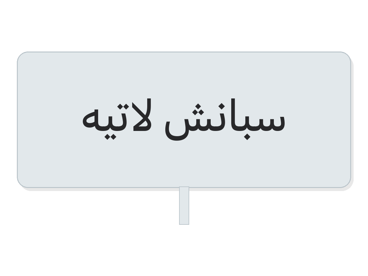 Clear سبانش لاتيه round sticker