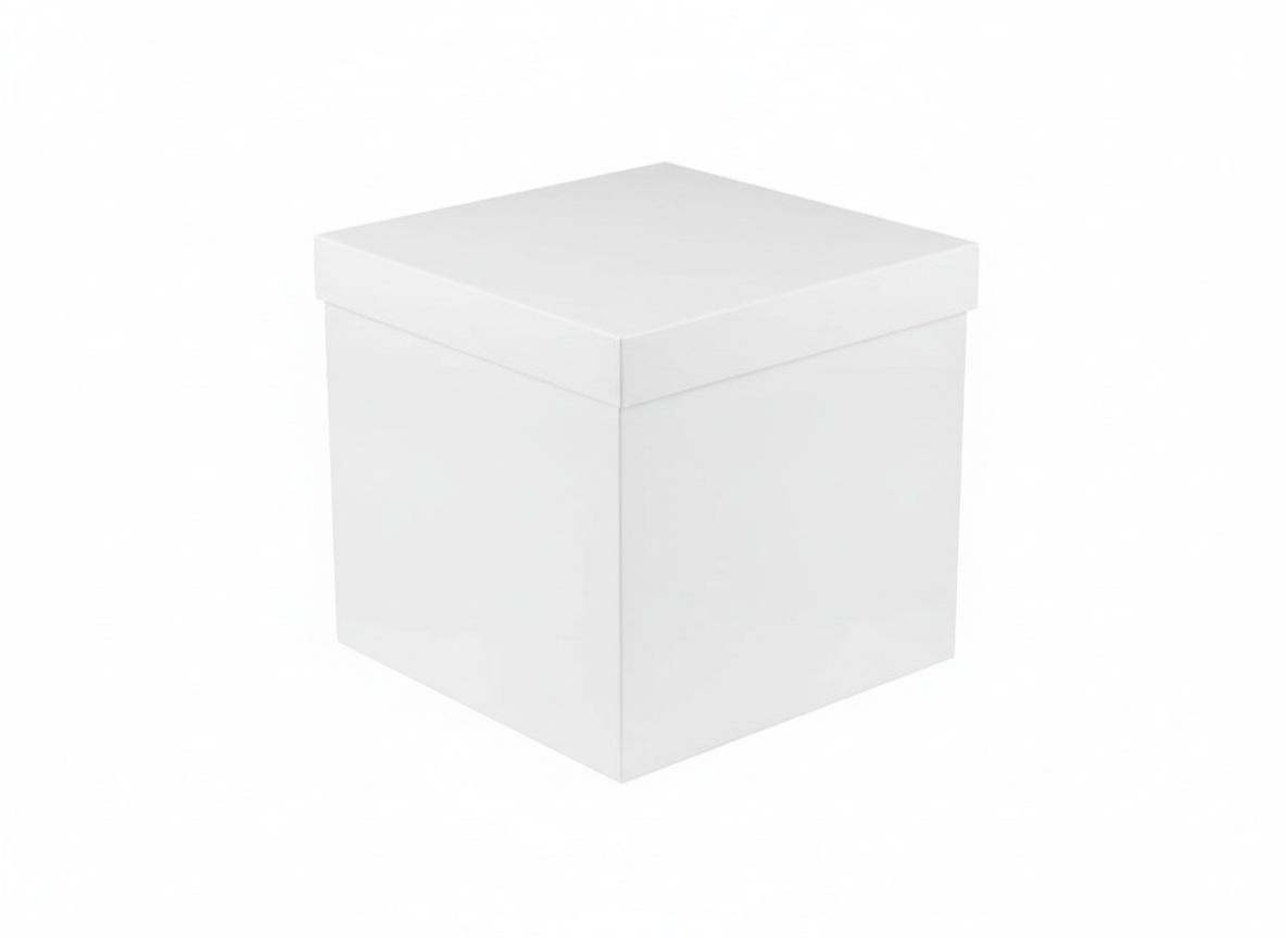 White acrylic box · White · 20 × 20 × 20 cm