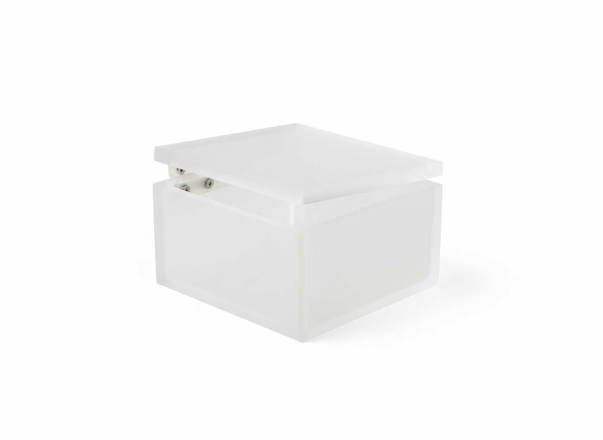 Frosted flip lid acrylic box · Frosted With Flip Lid · 14x12x8 cm