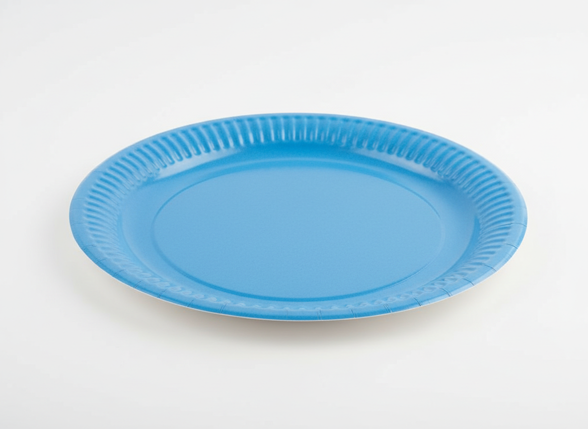 Sky blue party paper plate · 9 inch · Sky Blue