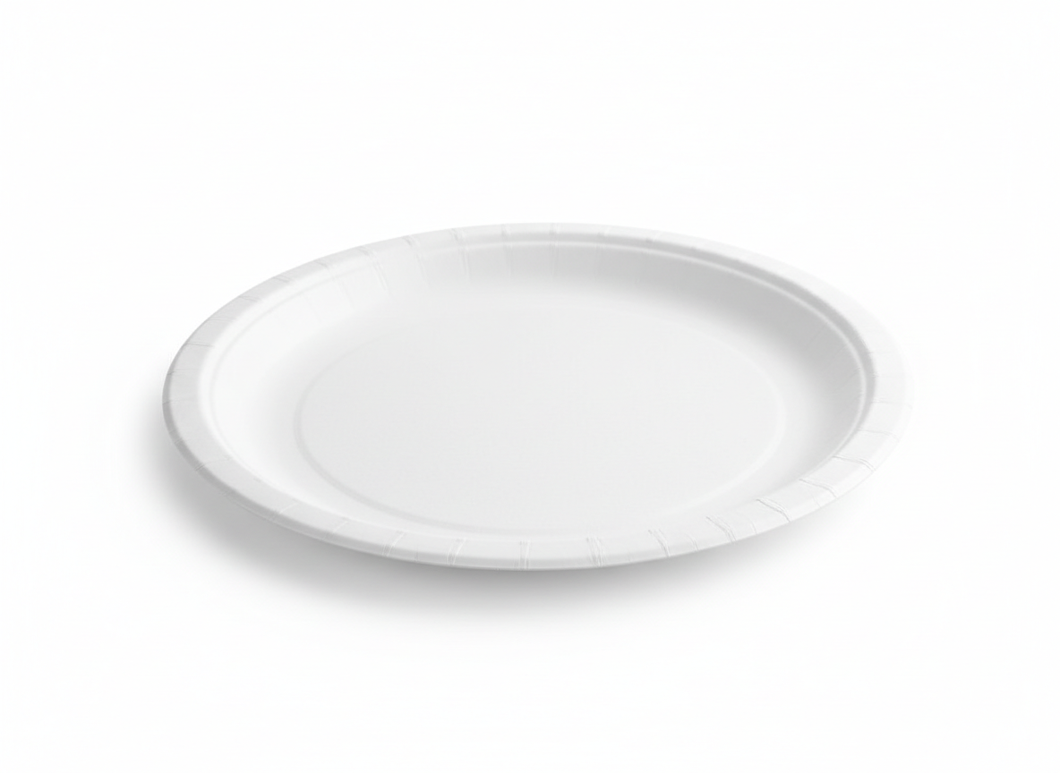 White party paper plate · 9 inch · White