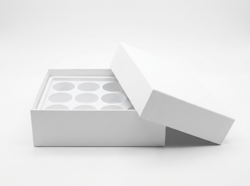 Date boxes · blank