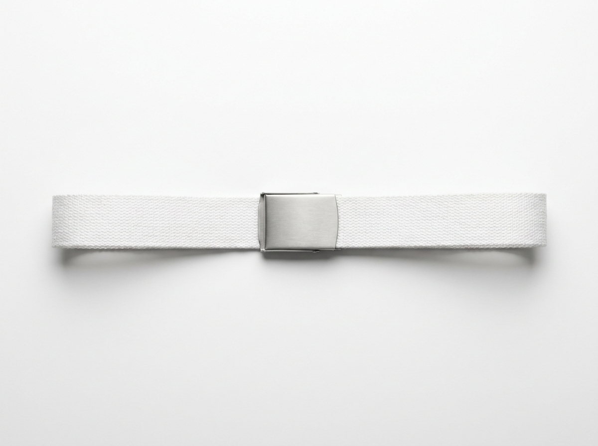 Printed belt · blank