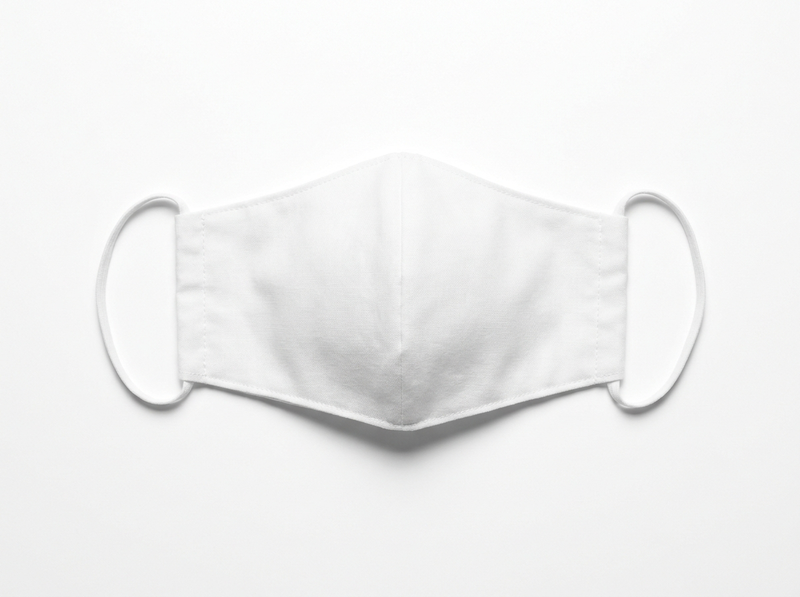 Fabric face mask · blank