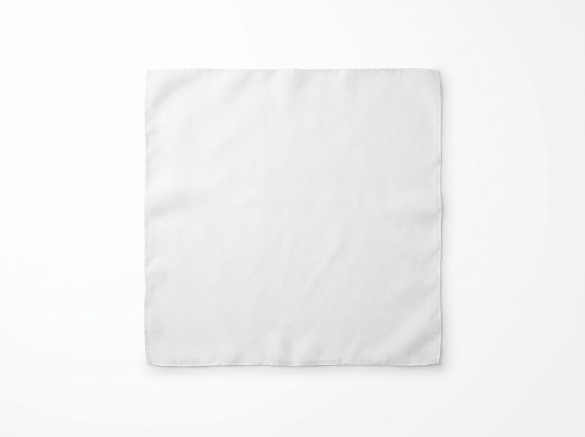 Printed scarf · blank