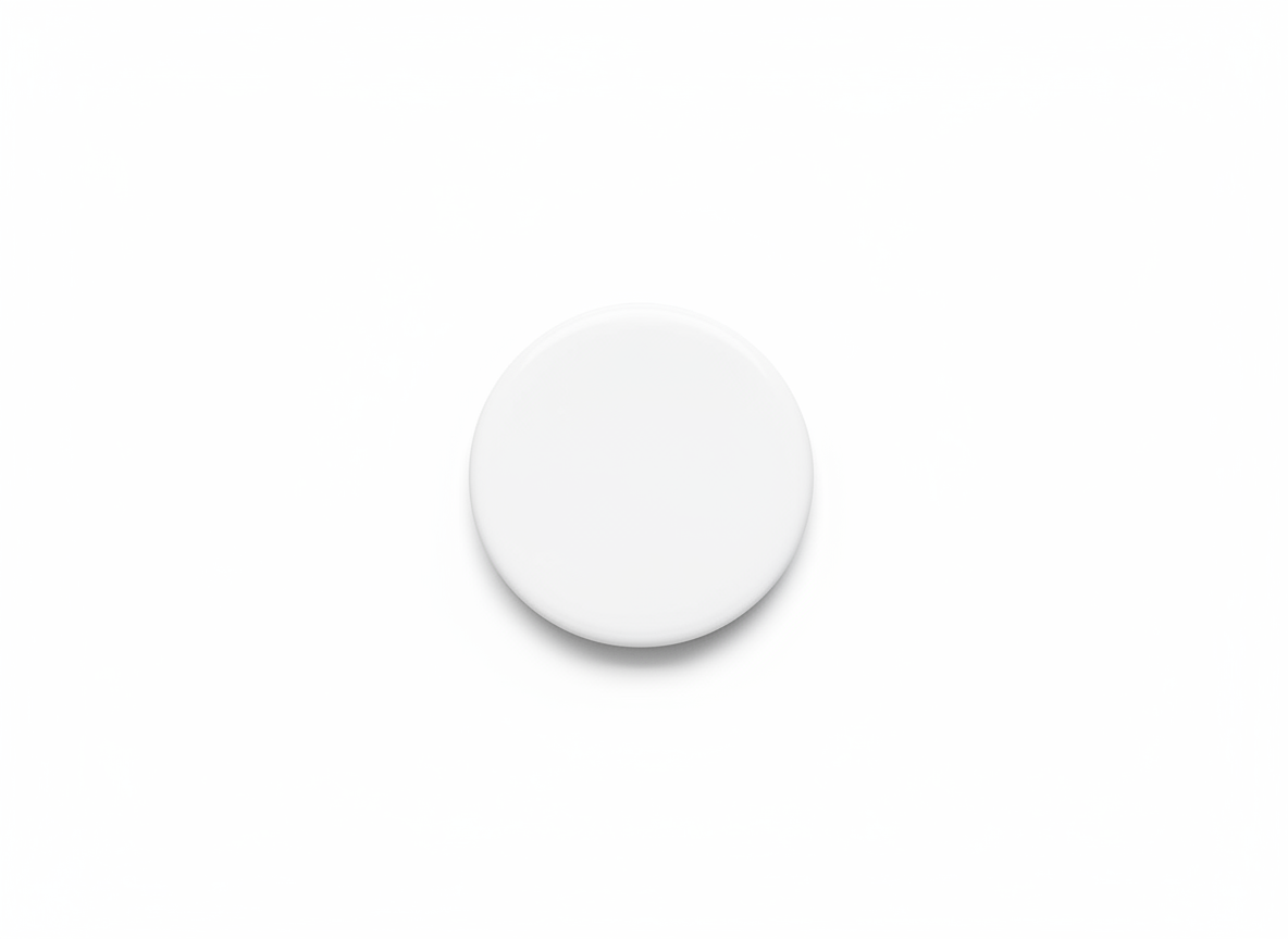 Round car magnets · blank