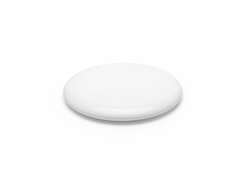 Printed flying disc · blank
