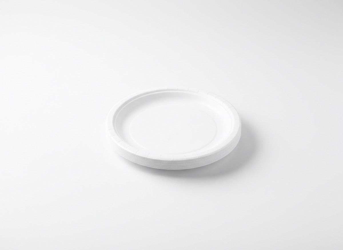 Party paper plate