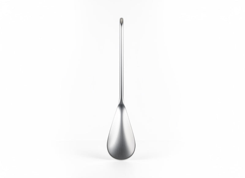 Shoe horn